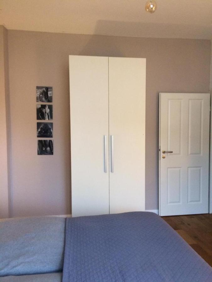 Apartment Troisdorf - Bonn Dış mekan fotoğraf